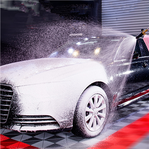 High Pressure Washer Gun Snow Foam with 5Nozzle Tips