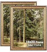Splinterix 16x20 Gold Picture Frame, 2 Pack Ornate Vintage Picture Frames for Wall or Tabletop Di...