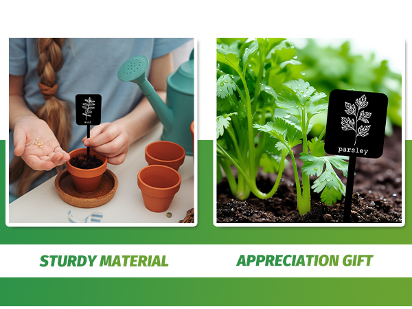 Acrylic Plant Label Signs
