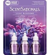 Scentsationals Fragrance Oil Plug In Air Freshener Refills 3-Pack - Lilac Blossoms - Works with S...