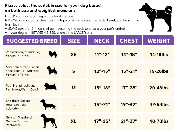 dog harness