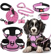 LOBEVE No Pull Dog Harness, Collar & Leash Set | Includes Dog Seat Belt, Collapsible Bowls & Poop...