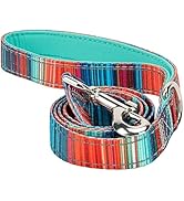 EcoBark Dog Leash - Soft & Reflective Comfort Leash with Padded Handle - Strong Durable Heavy Dut...