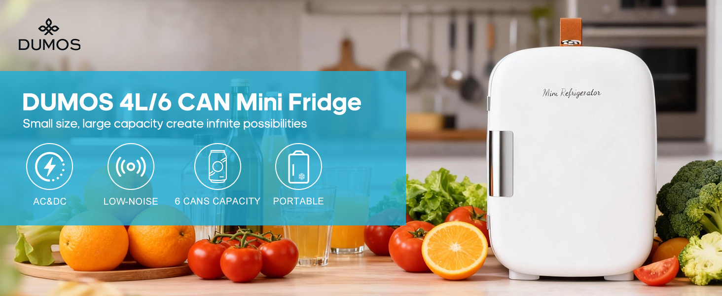 Mini Fridge For Bedroom