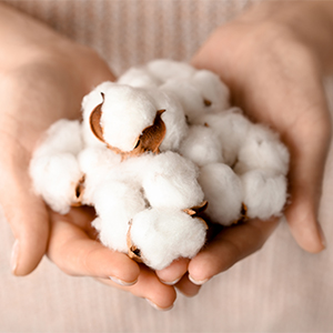 100% Certified Organic Cotton