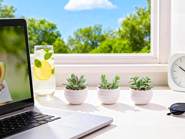 Summer Desk Accent