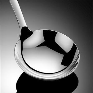 Soup Ladle