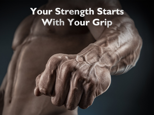Forearm and Wrist Trainer