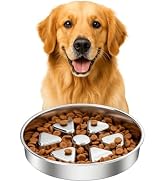 Kactoily 304 Stainless Steel Slow Feeder Dog Bowl, 2.5 Cups Non-Slip Pet Bowl, Raised Design for ...