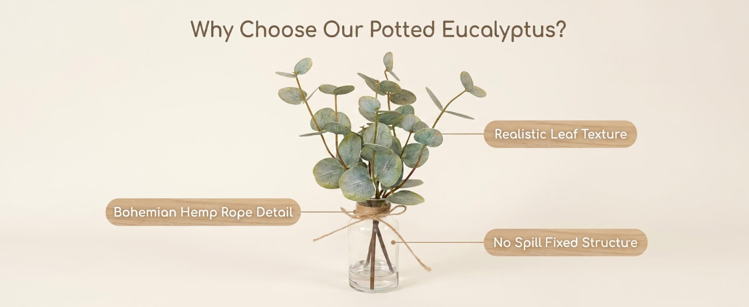 Double-Sided Green Eucalyptus