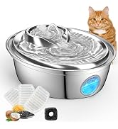 ORSDA Cat Water Fountain Stainless Steel, Automatic Pet Water Fountain, 67oz/2L Drinking Fountain...
