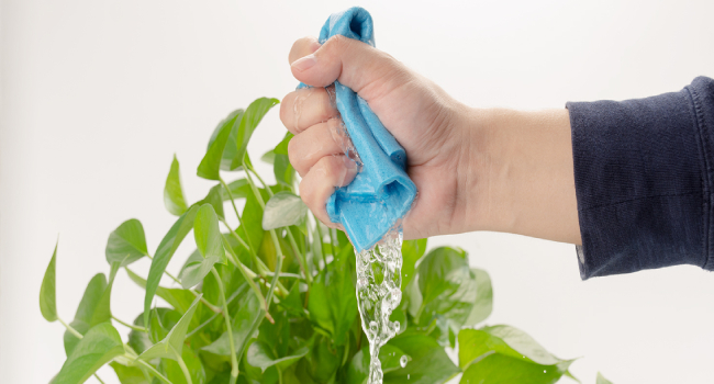 Absorbent Dish Towels for Kitchen, Multipurpose Cellulose Sponge Cloths