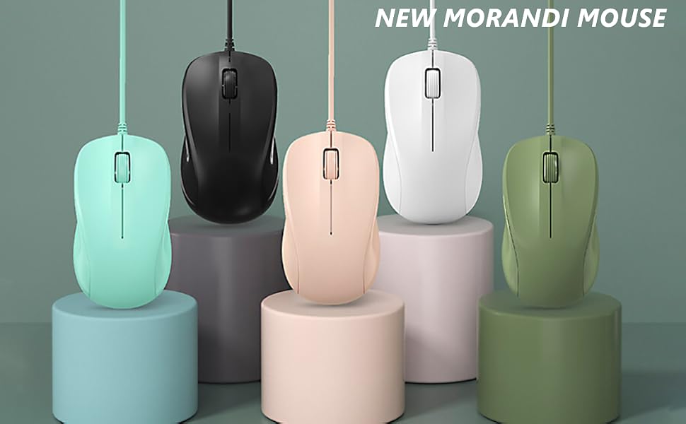 NEW MORANDI MOUSE