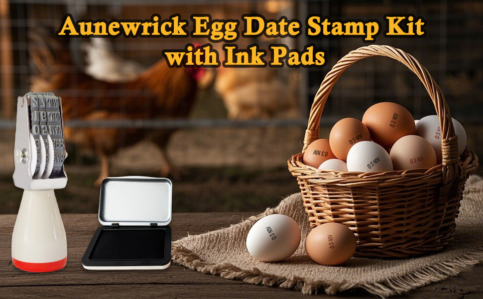 Aunewrick Egg Date Stamp Kit