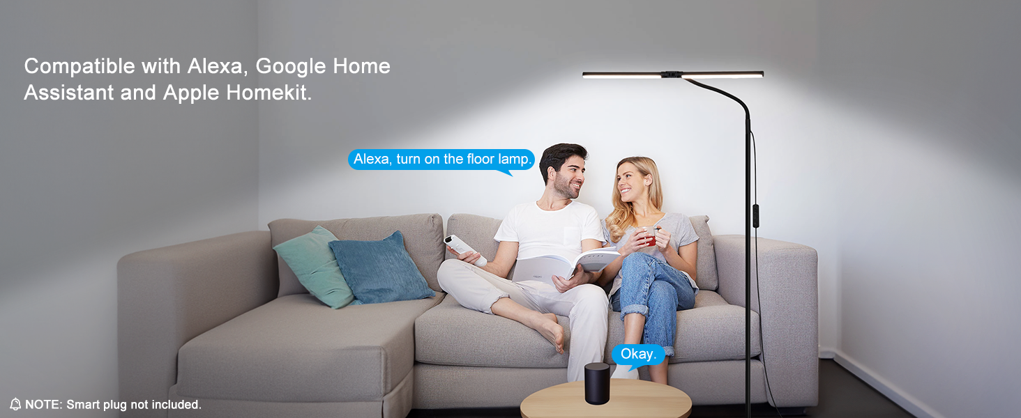 compatible with smart plug