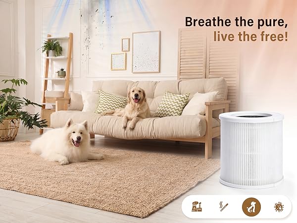 vendfo air purifier