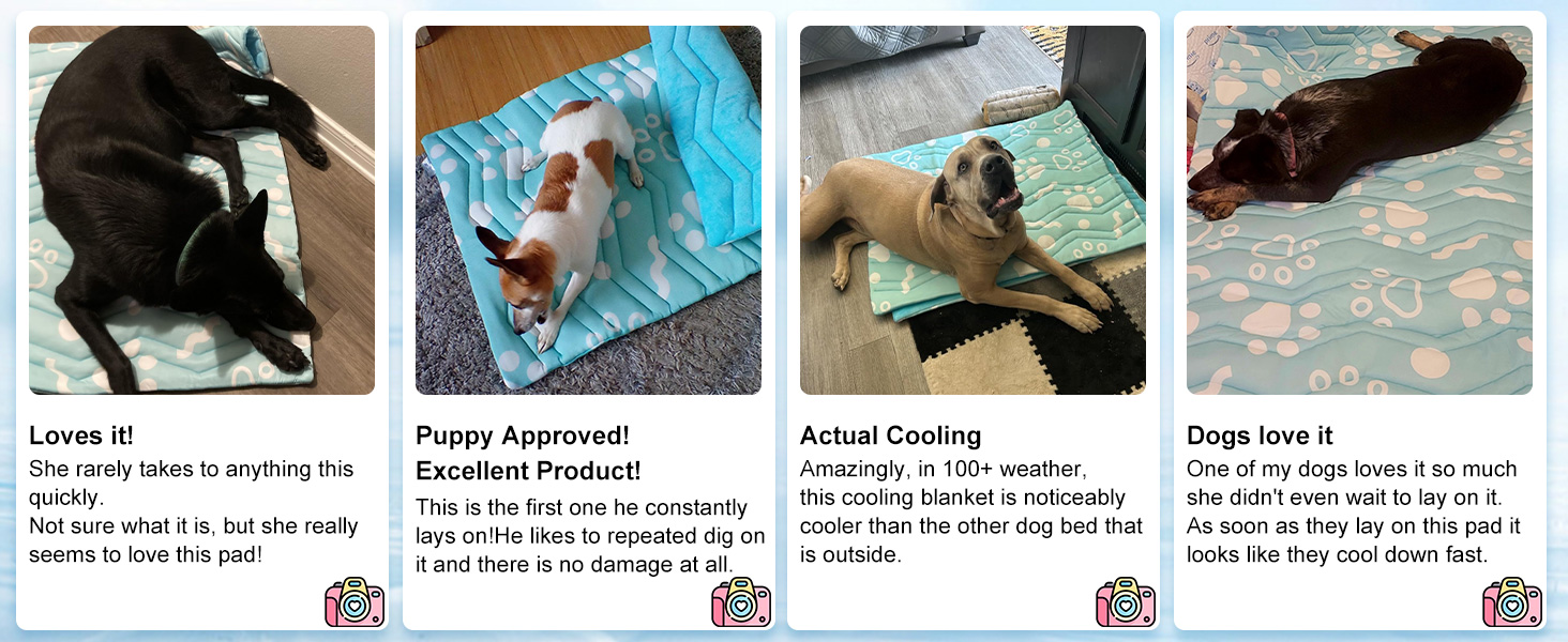 cooling mat for large dogs