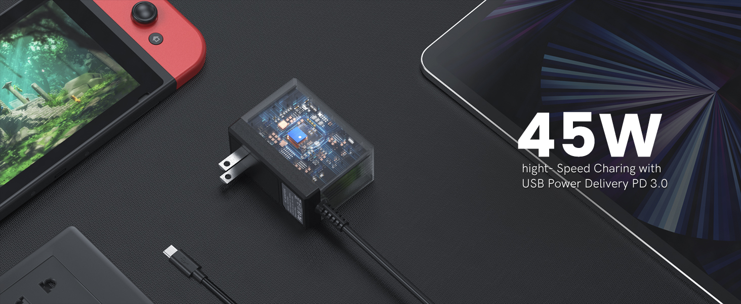 Nintendo Switch charger