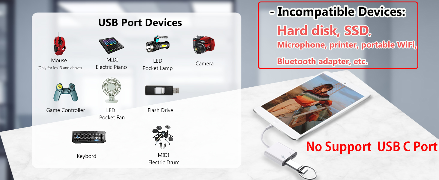 Lightning to USB Adapter