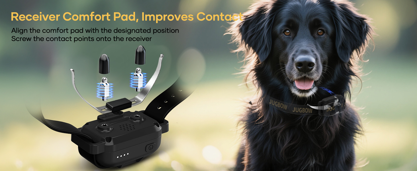 training collar with remote
