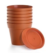 FHWTY 6 Pack Plastic Plant Pots with Drainage Holes and Tray, 4 inch Thickened Indoor Planters Se...