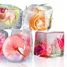 ice cube mold