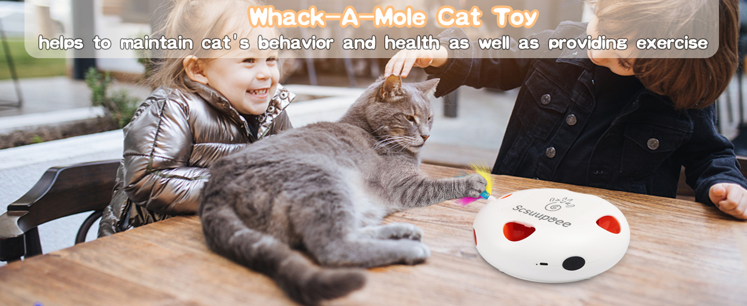 cat toys