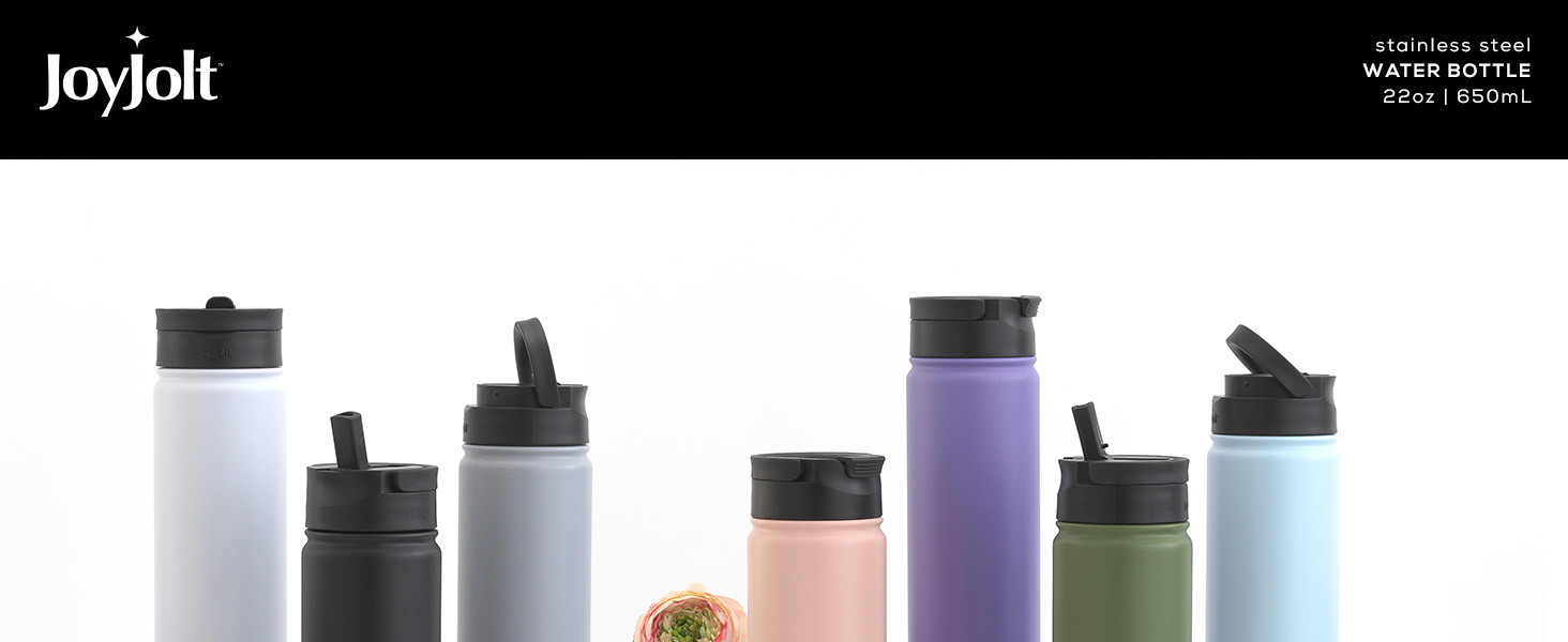 Joyjolt Stainless Steel Water Bottle