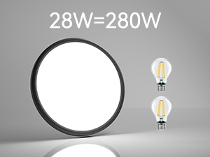 LED Ceiling Light