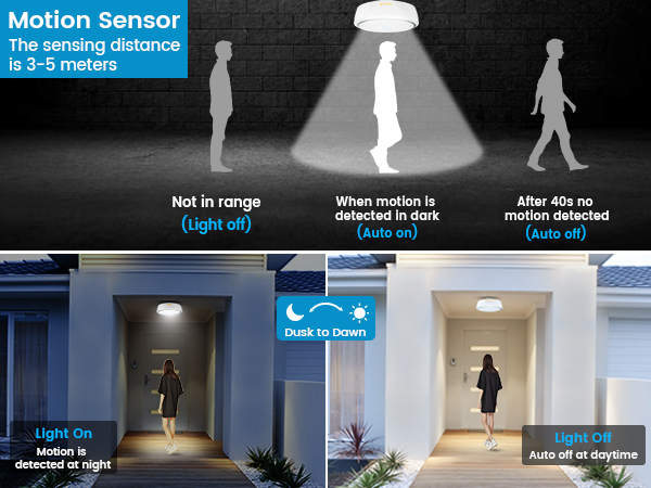 Motion Sensor Detector Ceiling Light