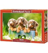 CASTORLAND 500 Piece Jigsaw Puzzles, Cute Dachshunds, Animal Puzzle, Dogs, Puppies, Adult Puzzle