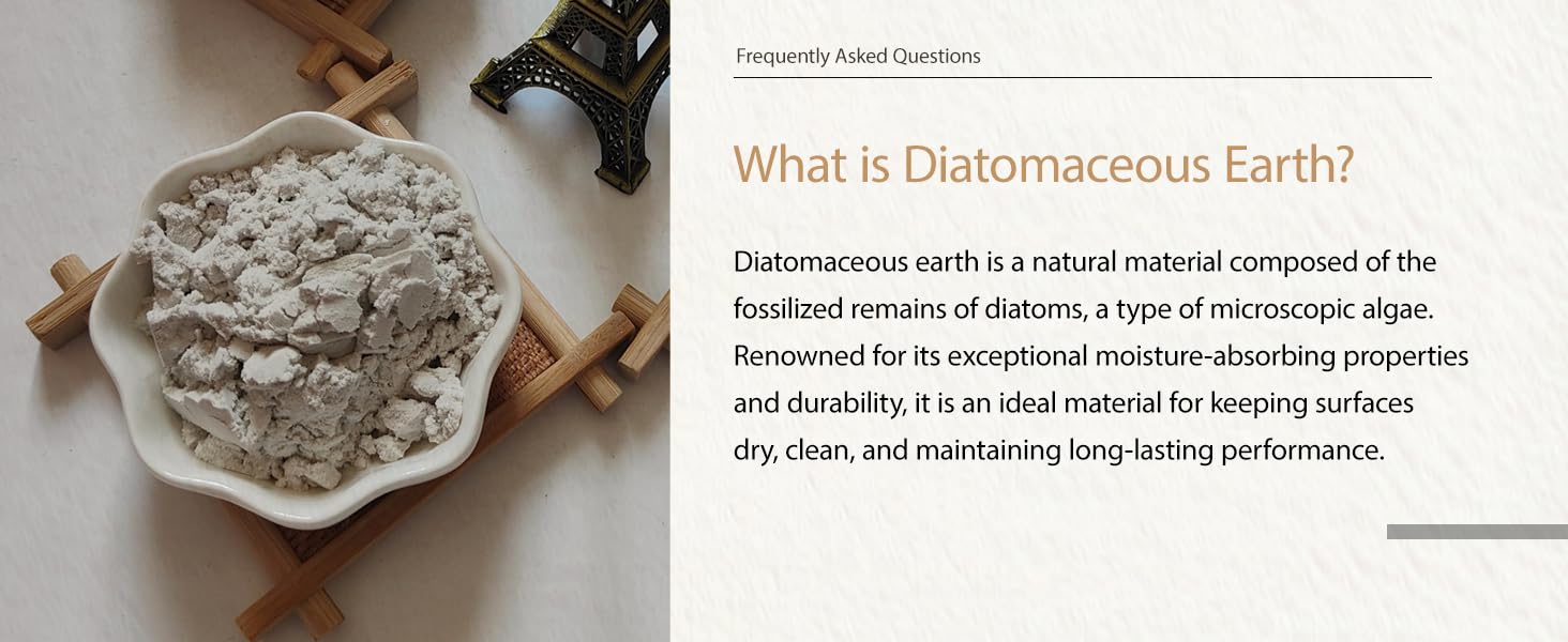 What is Diatomaceous Earth?