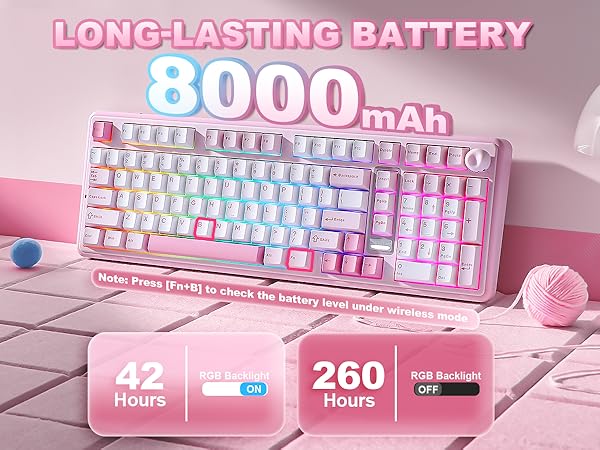 B98 PRO