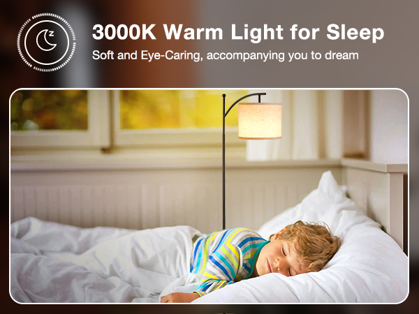 lamp