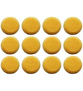 Pack of 12 Synthetic Sponges - 2-1/2 Inch Round Craft Sponge for Leather Care, Horse Tack Mainten...