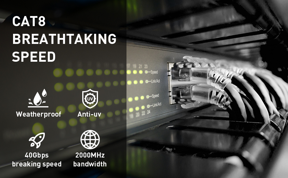 Cat8 breathtaking speed