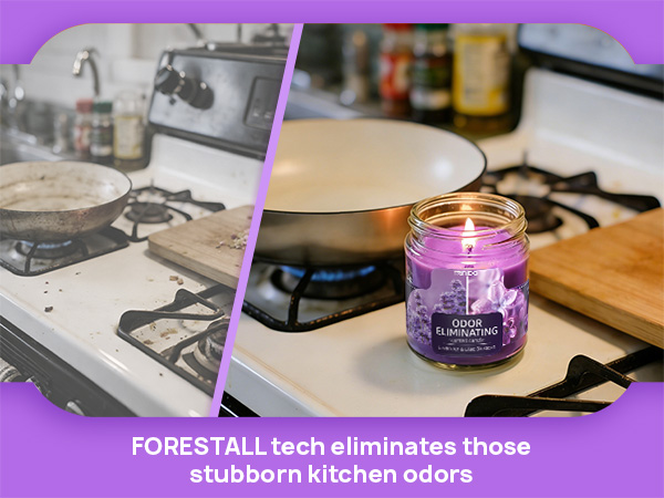 Lavender & Lilac Blossom Odor Eliminating Candles