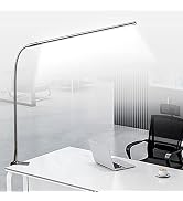 Brokimis USB LED Desk Lamp with Clamp 8-12W Adjustable Brightness Eye Care GooseNeck 360° Swivel ...