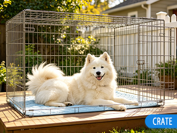 Dog cooling mat effectively absorbs body heat to bring comfort in hot weather