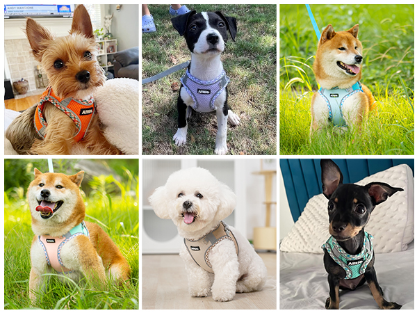 AIITLE Dog Harness for Small Medium Large Dogs No Pull