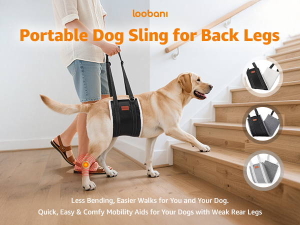 dog sling