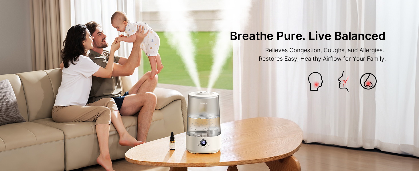 cool mist humidifier