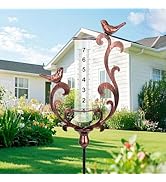 BUARO8AGA Rain Gauge Outdoor, Cast Iron Bird Rain Gauge - 7" Capacity Plastic Rain Gauge Freeze P...