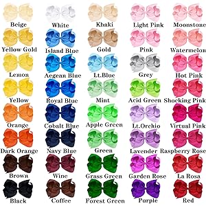 Hair Bows Clips
