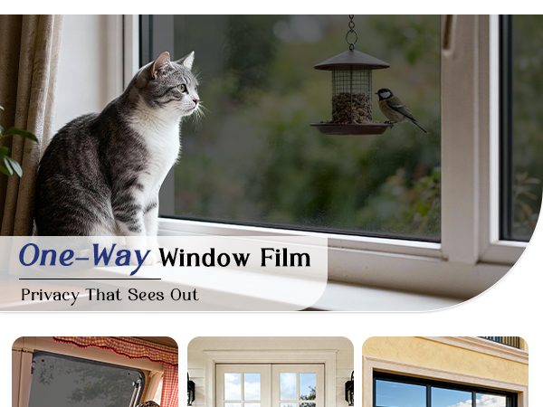 privacy window film see out not in