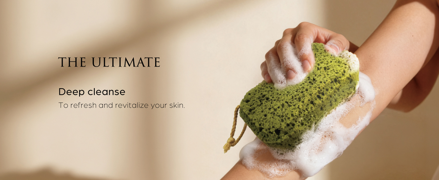 Exfoliating sponge