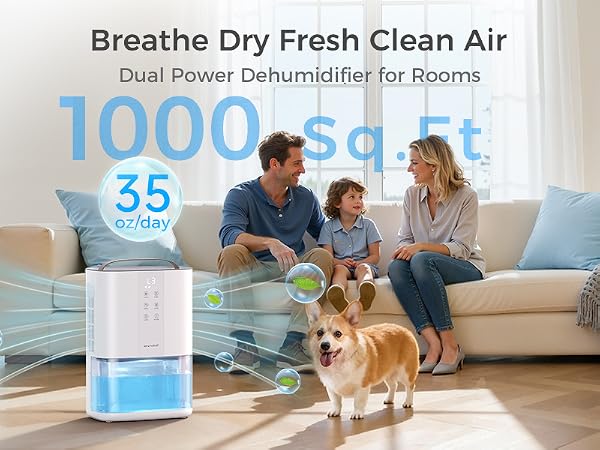 Dehumidifiers for Home