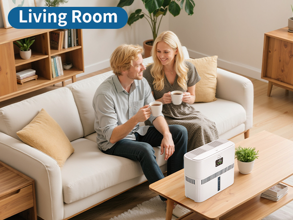 Evaporative Humidifier