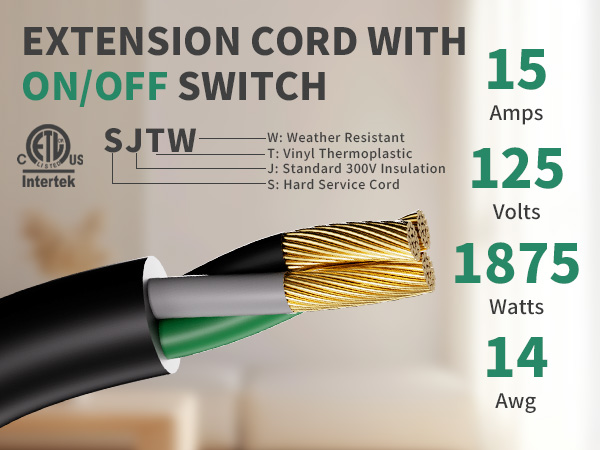 extension cords on off switch