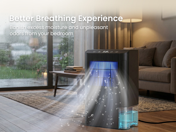 dehumidifier for bedroom